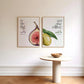 Surah At-Tin Fig and Olive Canvas Print